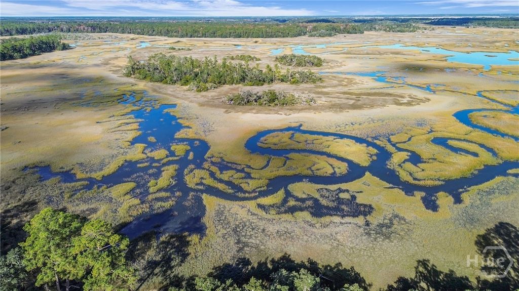 Photo of 1261 Otter Slide Loop NE, Darien, GA 31305 (MLS # SA343800)