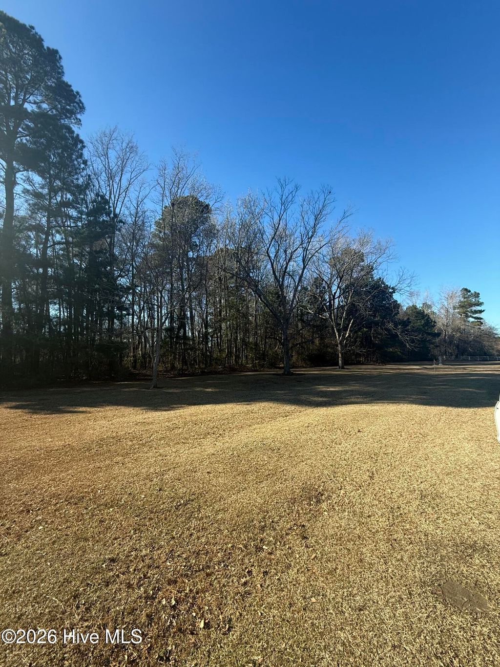 Photo of 780 James Pait Road, Bladenboro, NC 28320 (MLS # 100550052)