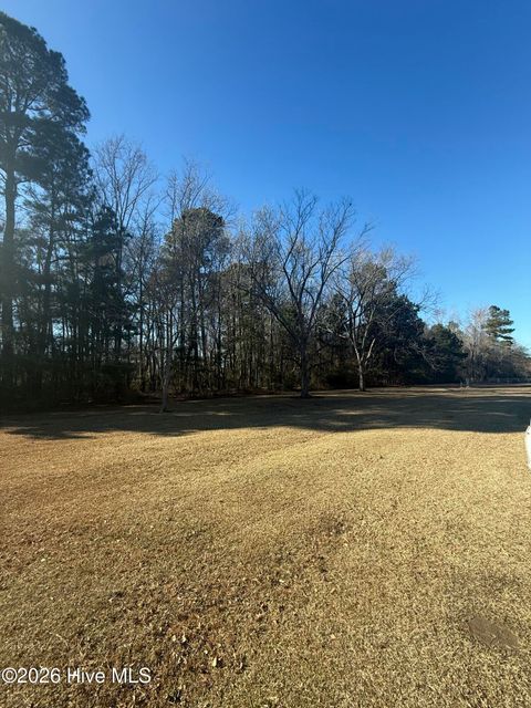 Vacant Land For Sale - 780 James Pait Road<br/> Bladenboro, NC 28320