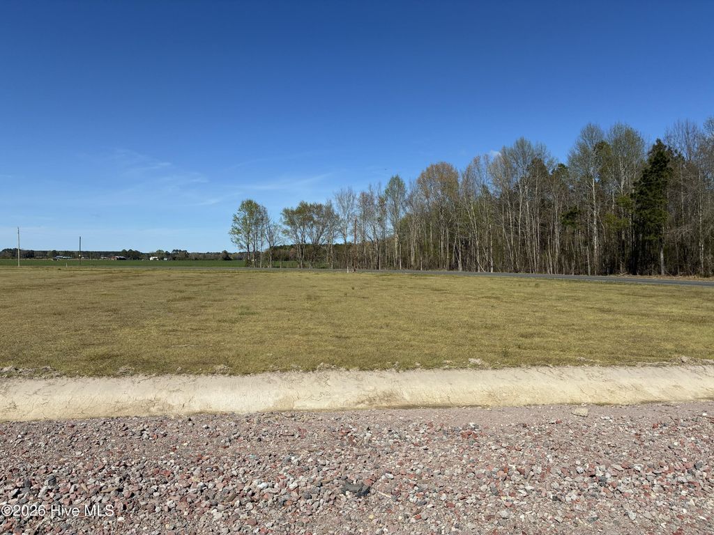Photo of 258 Camp Perry Road, Hertford, NC 27944 (MLS # 100564390)
