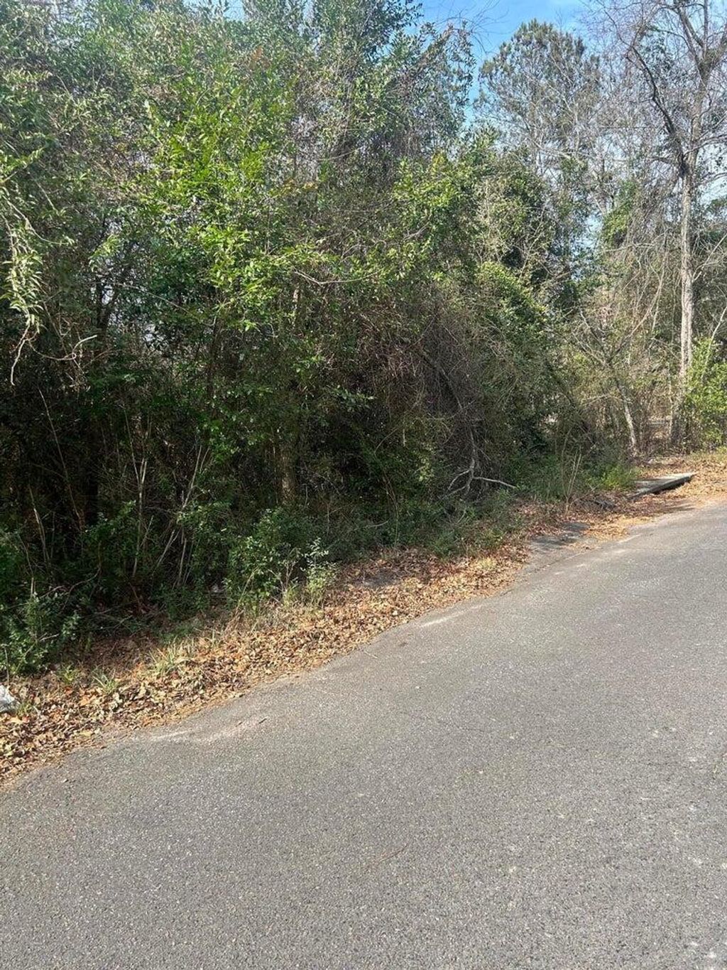 Photo of 0 Robinson Drive, New Ellenton, SC 29809 (MLS # 551334)