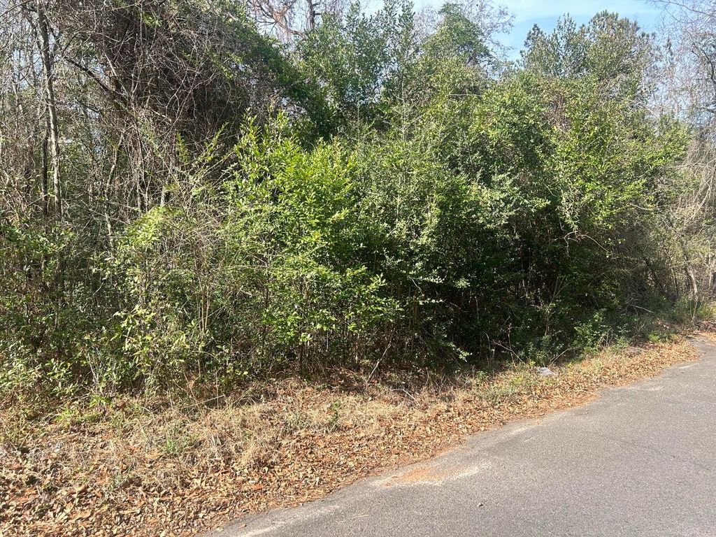 Photo of 0 Robinson Drive, New Ellenton, SC 29809 (MLS # 551334)