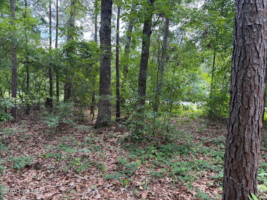 Photo of 118 Ferret Run Lane, New Bern, NC 28562 (MLS # 100577707)