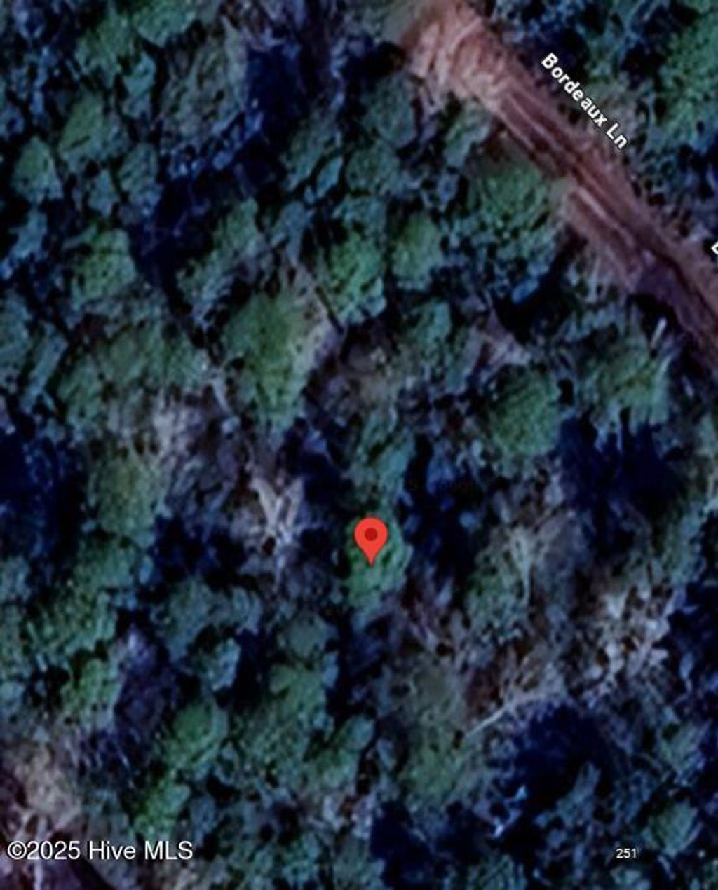 Photo of 261 Bordeaux Lane, Boiling Spring Lakes, NC 28461 (MLS # 100535389)