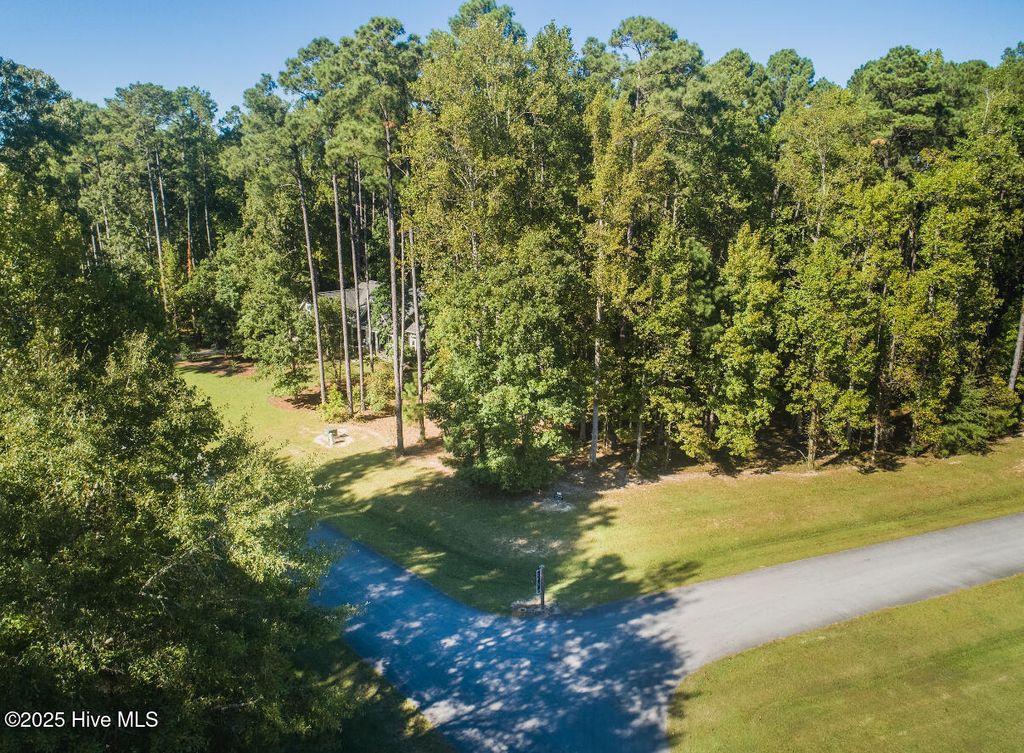 Photo of 232 N Brightleaf Drive, Minnesott Beach, NC 28510 (MLS # 100510354)