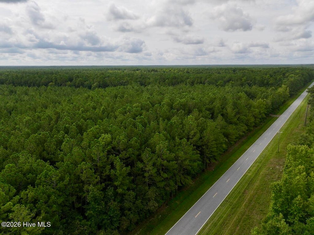 Photo of 0 Cupelo Road, Walstonburg, NC 27888 (MLS # 100599635)