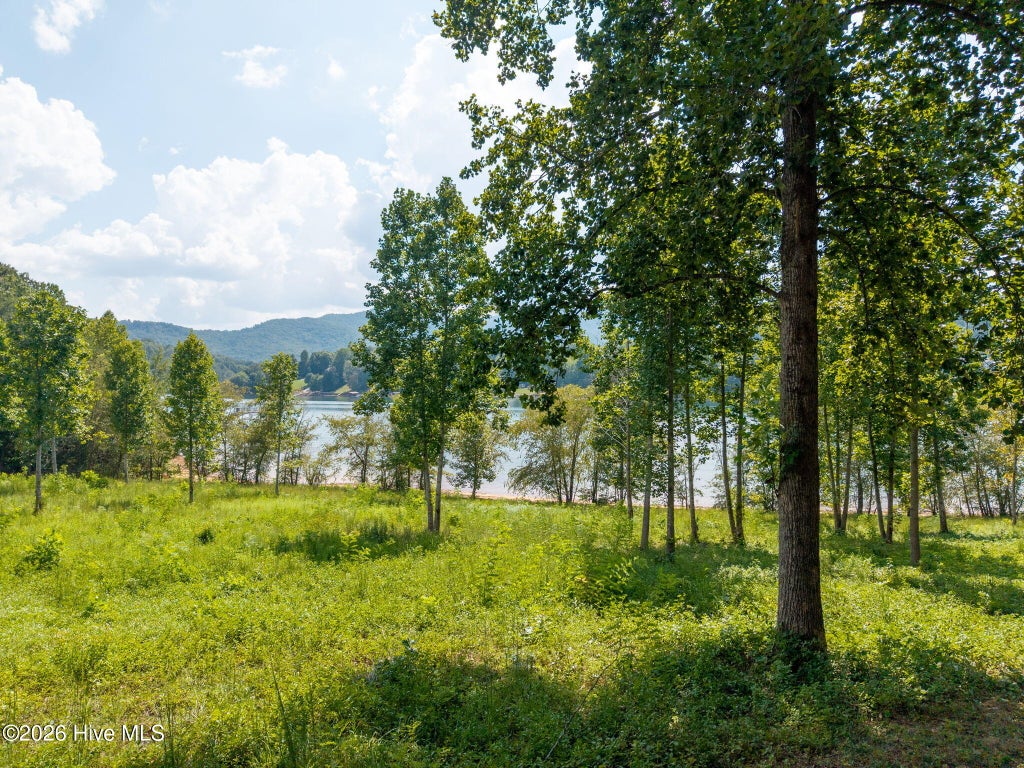 Photo of 314 Lakeside Drive, Hiawassee, GA 30546 (MLS # 100602017)