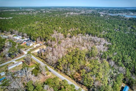 Tiny photo for 3 Jamaica Drive, Hampstead, NC 28443 (MLS # 100560771)