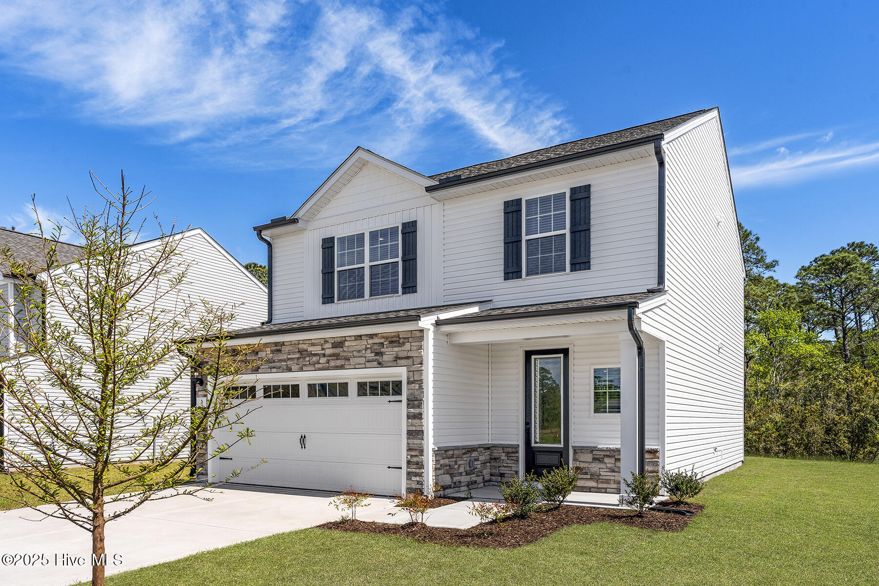 123 Umbrella Palm Drive