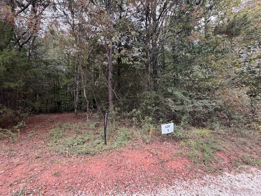 Photo of 0 Lebanon Church Road #tract 1, Jefferson, GA 30549 (MLS # CL365990)