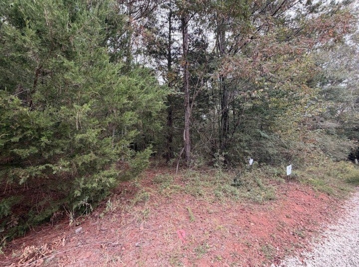 Photo of 0 Lebanon Church Road #tract 1, Jefferson, GA 30549 (MLS # CL365990)