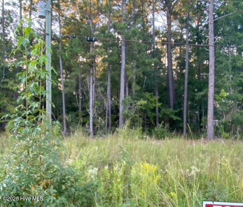 Photo of Tbd Burgaw Highway, Jacksonville, NC 28540 (MLS # 100574852)