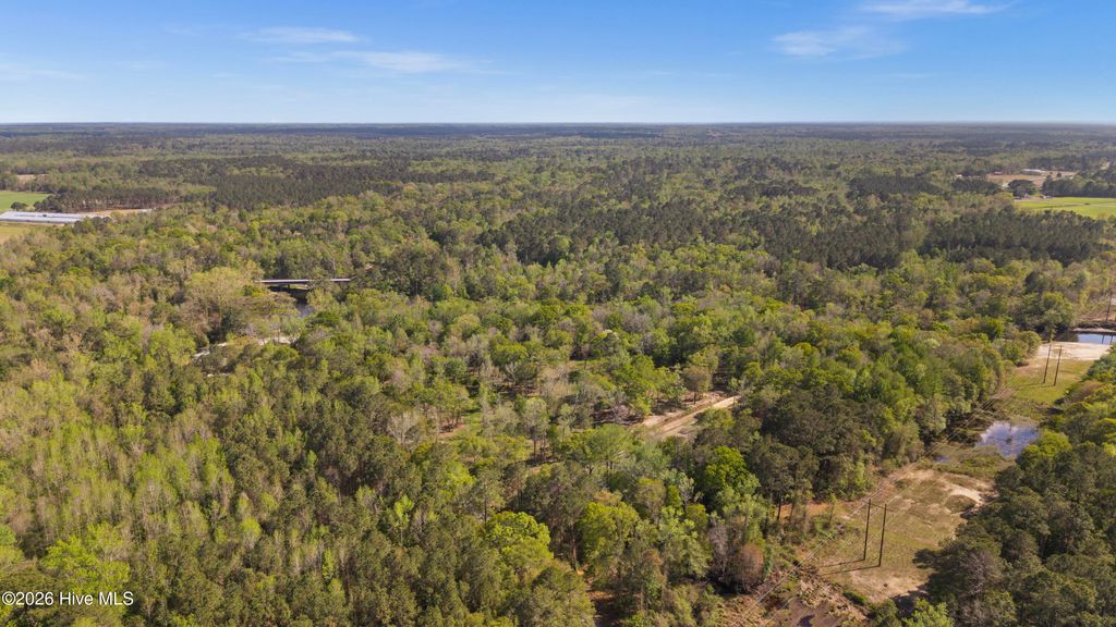 Photo of 196 Quiet Water Drive, Chinquapin, NC 28521 (MLS # 100566308)