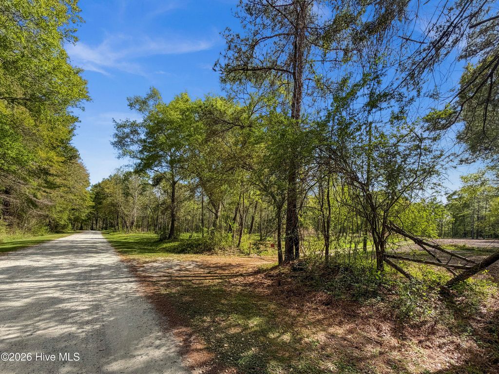 Photo of 196 Quiet Water Drive, Chinquapin, NC 28521 (MLS # 100566308)