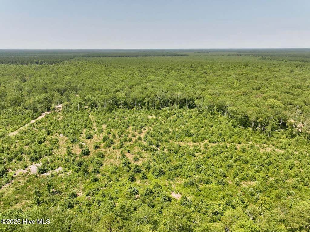 Photo of 28 Guinea Mill Road, Ernul, NC 28527 (MLS # 100587491)
