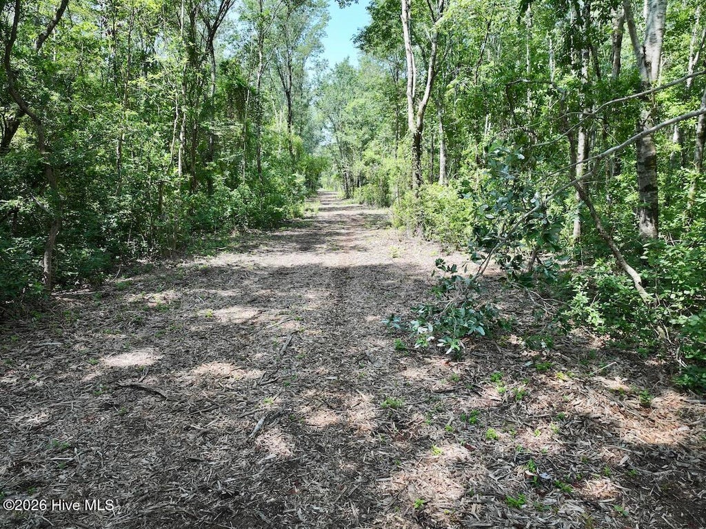 Photo of 28 Guinea Mill Road, Ernul, NC 28527 (MLS # 100587491)