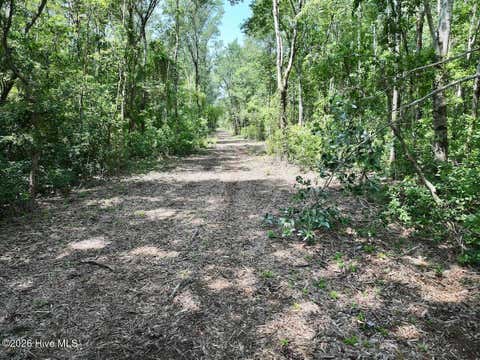 Vacant Land For Sale - 28 Guinea Mill Road<br/> Craven County, Ernul, NC 28527