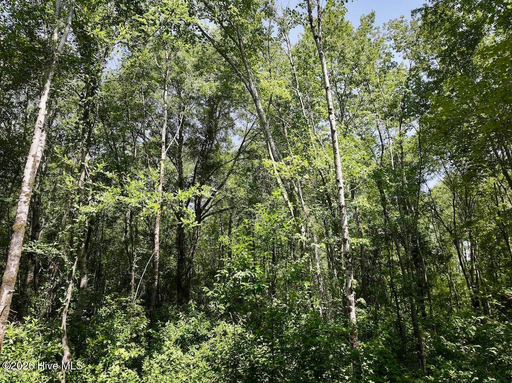 Photo of 28 Guinea Mill Road, Ernul, NC 28527 (MLS # 100587491)