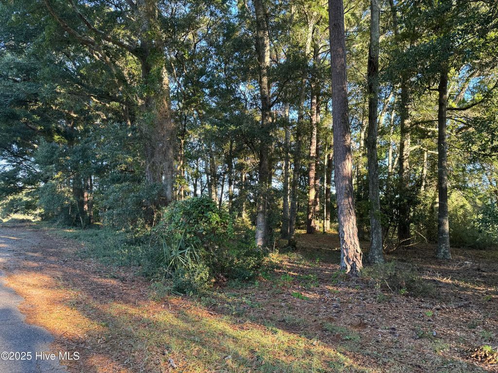 Photo of 594 Medcalf Drive SW, Sunset Beach, NC 28468 (MLS # 100537516)