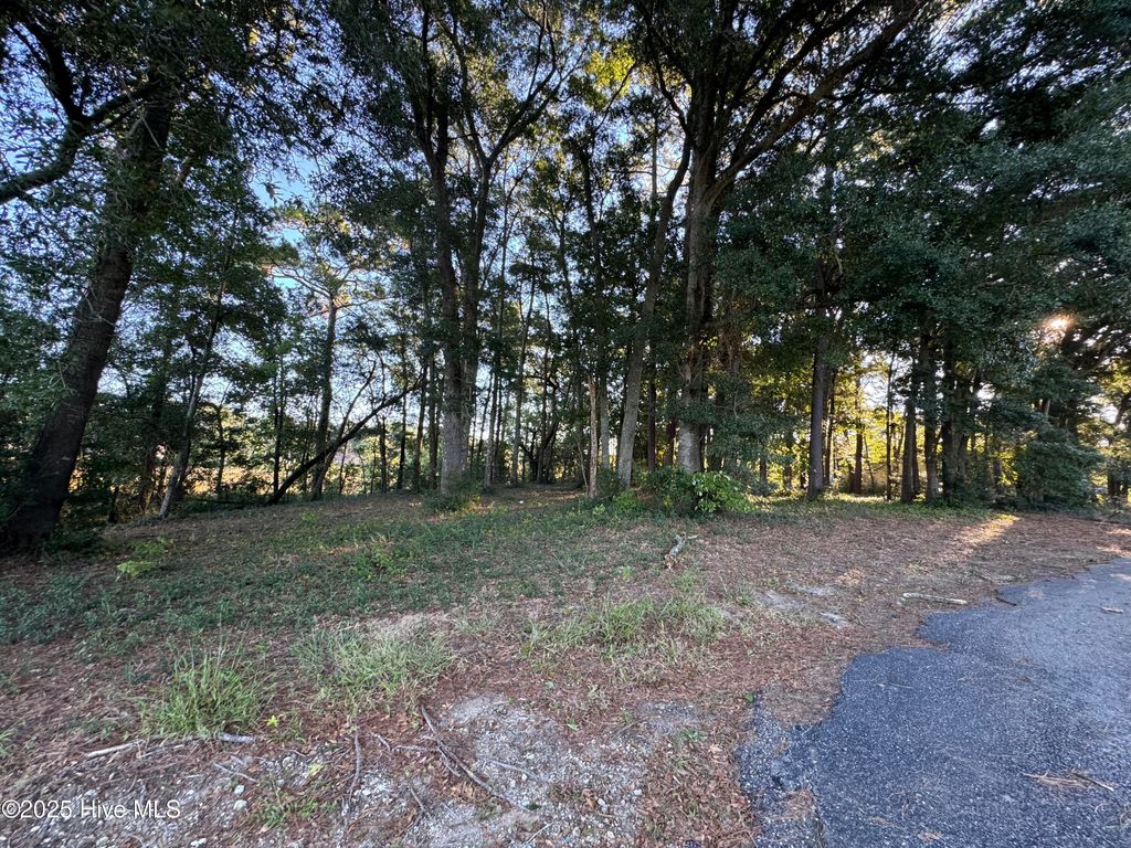 Photo of 594 Medcalf Drive SW, Sunset Beach, NC 28468 (MLS # 100537516)