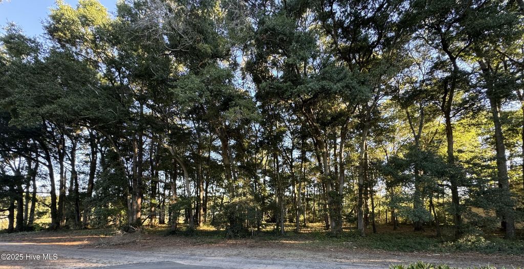 Photo of 594 Medcalf Drive SW, Sunset Beach, NC 28468 (MLS # 100537516)