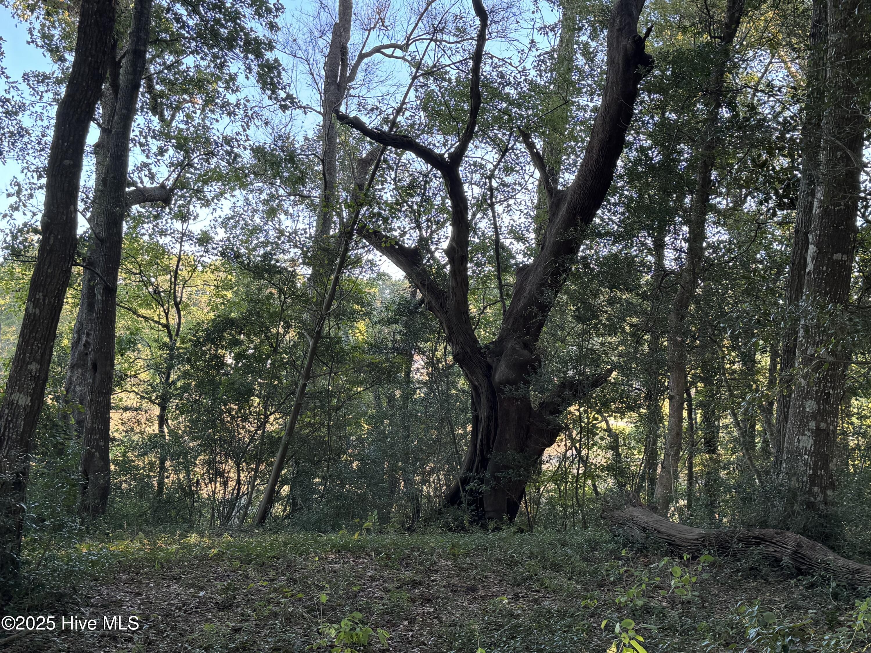 594 Medcalf Drive SW