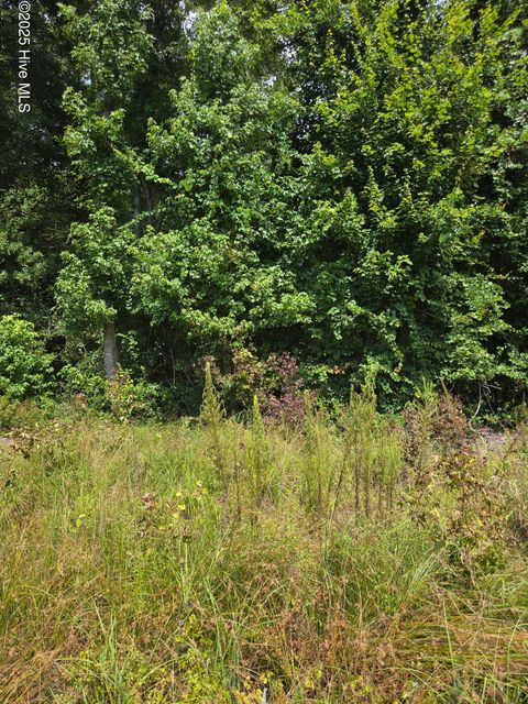 Vacant Land For Sale - Chapman Drive-lots 19 & 20 Drive<br/> Lenoir County, Grifton, NC 28530