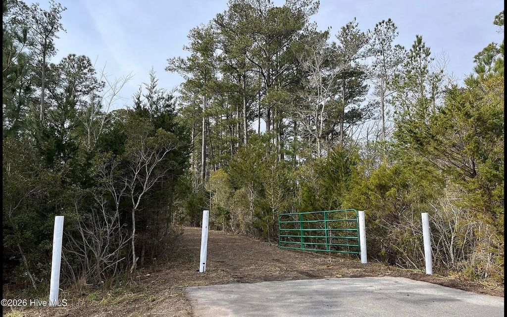 Photo of 150 Styron Creek Road, Sea Level, NC 28577 (MLS # 100572198)