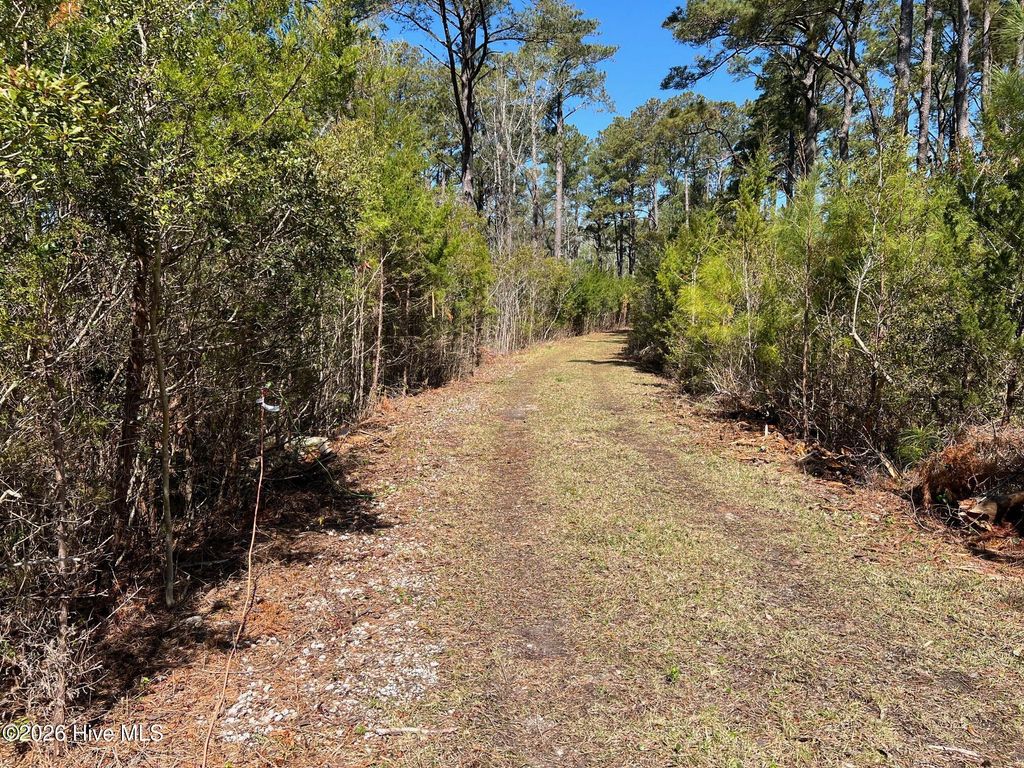 Photo of 150 Styron Creek Road, Sea Level, NC 28577 (MLS # 100572198)
