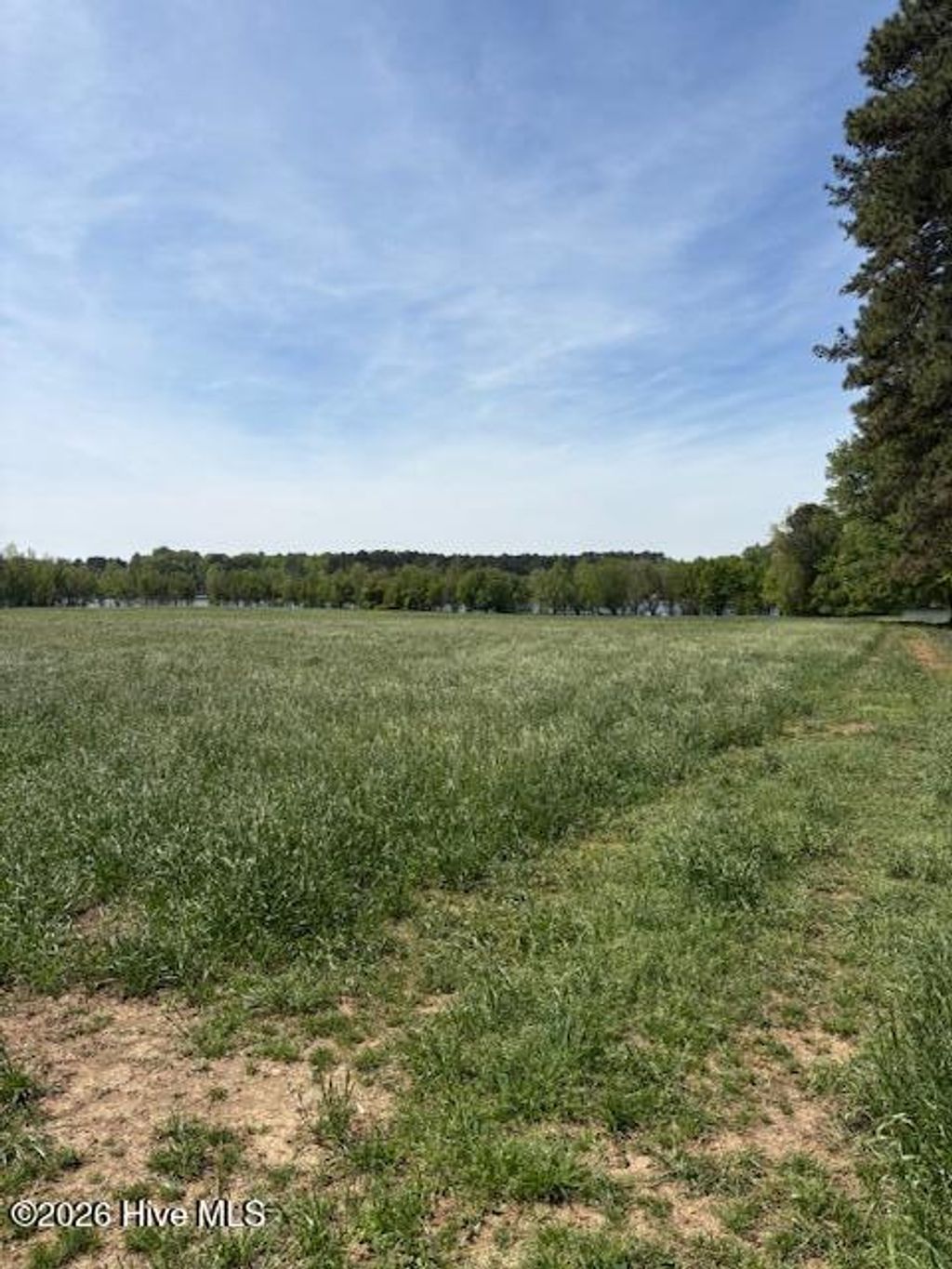 Photo of 1 Leon Road, Nashville, NC 27856 (MLS # 100566303)