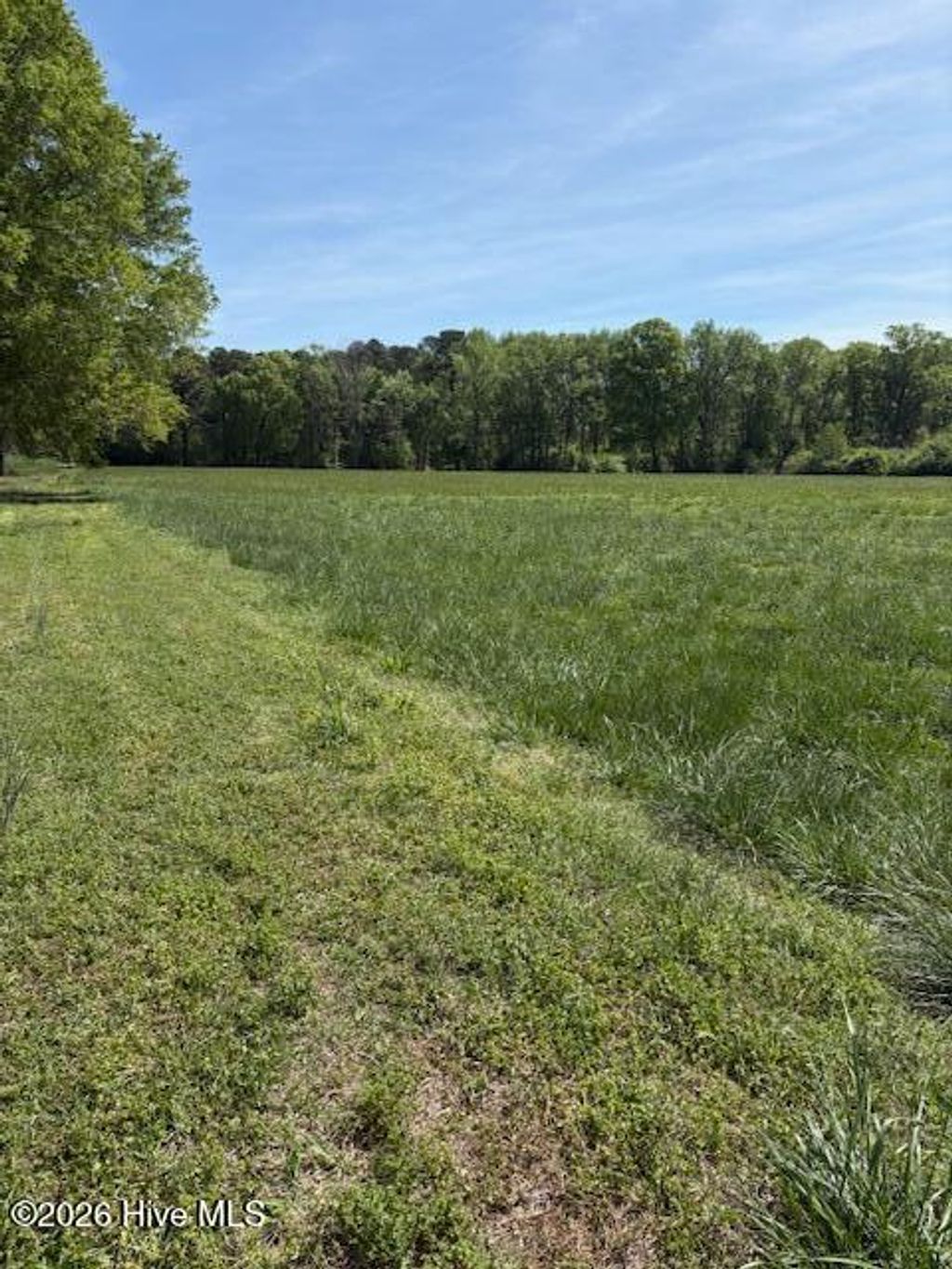 Photo of 1 Leon Road, Nashville, NC 27856 (MLS # 100566303)