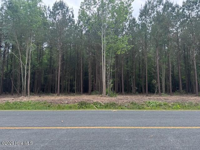Photo of 3 Great Swamp Road, Ernul, NC 28527 (MLS # 100604886)