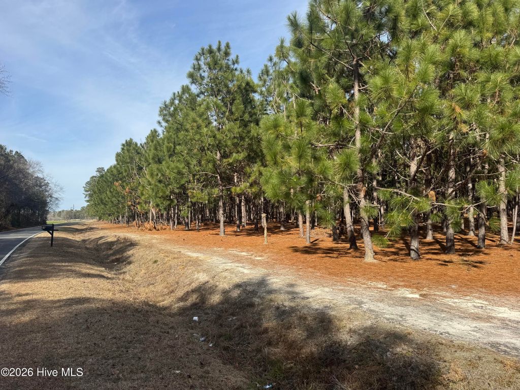 Photo of 0 Butler Mill Road, Bladenboro, NC 28320 (MLS # 100556131)