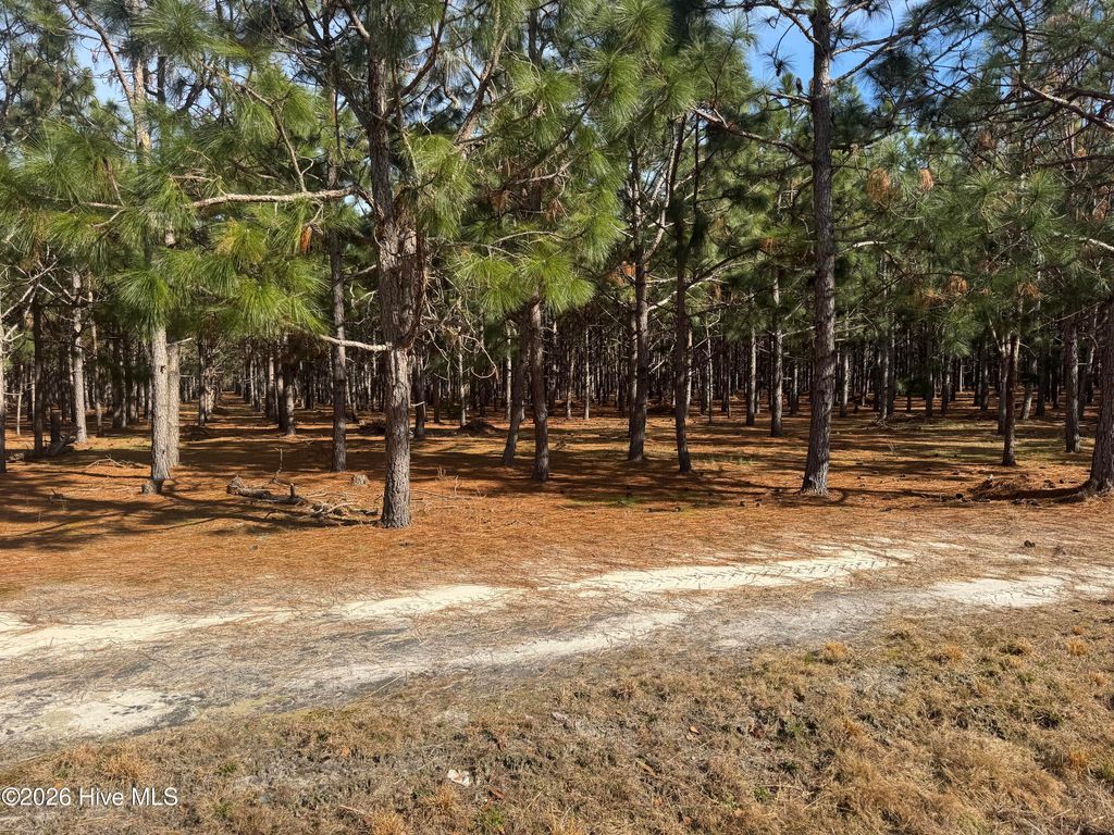 Photo of 0 Butler Mill Road, Bladenboro, NC 28320 (MLS # 100556131)