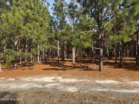 Vacant Land For Sale - Butler Mill Road<br/> Bladen County, Bladenboro, NC 28320