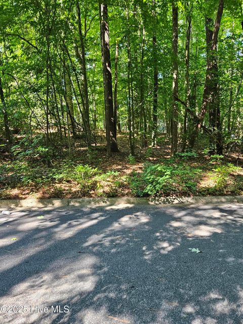 Vacant Land For Sale - Woodlawn East Drive<br/> Williamston, NC 27892