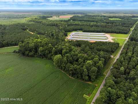 Vacant Land For Sale - Doc Brown Road<br/> Rose Hill, NC 27458