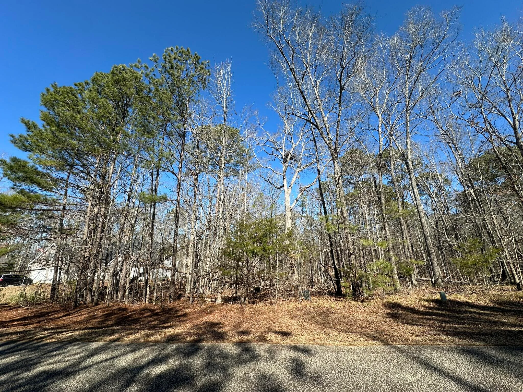 117 Cumberland Drive