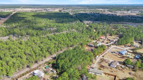 Tiny photo for 66 Tree Top Court, Hampstead, NC 28443 (MLS # 100555304)