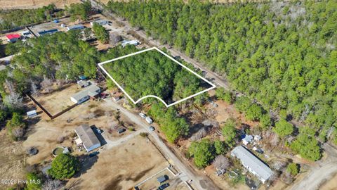 Photo of 66 Tree Top Court, Hampstead, NC 28443 (MLS # 100555304)