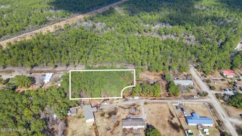 Tiny photo for 66 Tree Top Court, Hampstead, NC 28443 (MLS # 100555304)