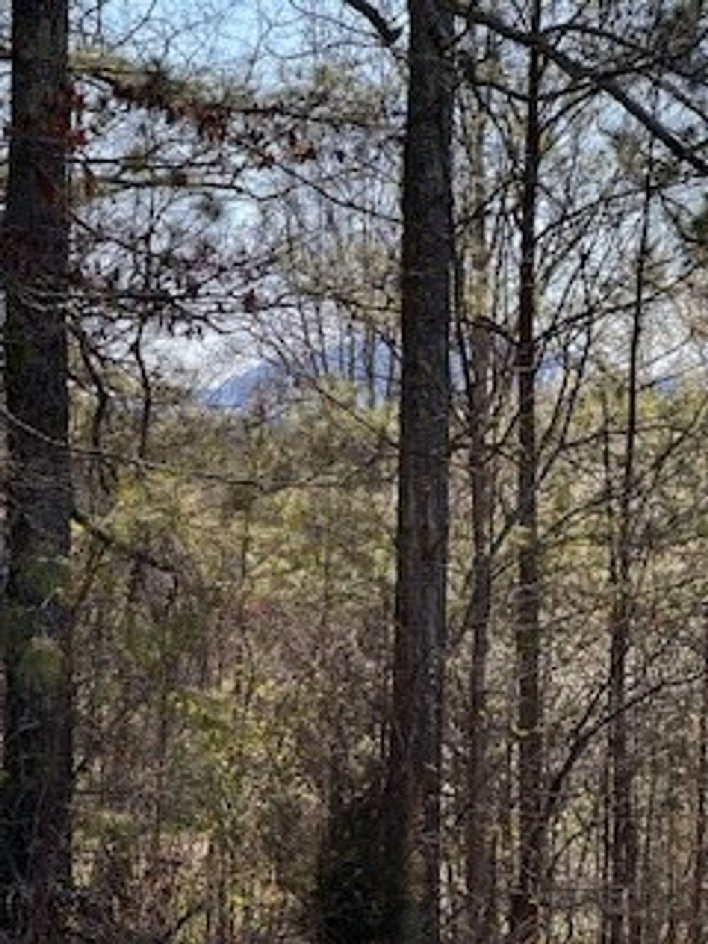 Photo of 00 Sugar Maple Road, Murphy, NC 28906 (MLS # 98524963)