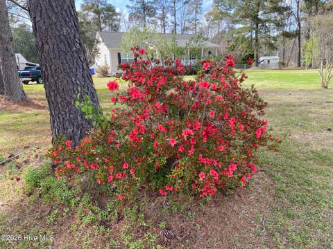 Tiny photo for 540 Meadow Lane, Burgaw, NC 28425 (MLS # 100597305)