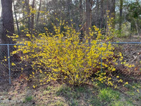 Tiny photo for 540 Meadow Lane, Burgaw, NC 28425 (MLS # 100597305)