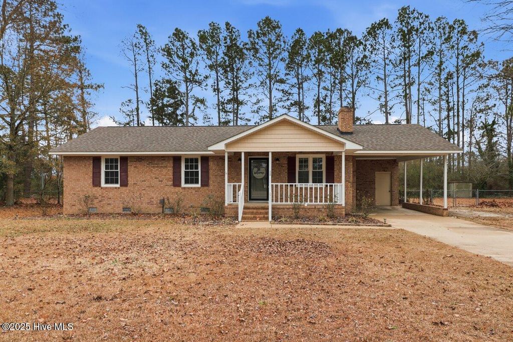 Photo of 126 Camile Drive, Princeton, NC 27569 (MLS # 100546977)