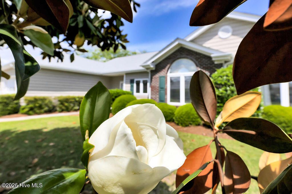 Photo of 4418 Willow Moss Way, Southport, NC 28461 (MLS # 100571216)