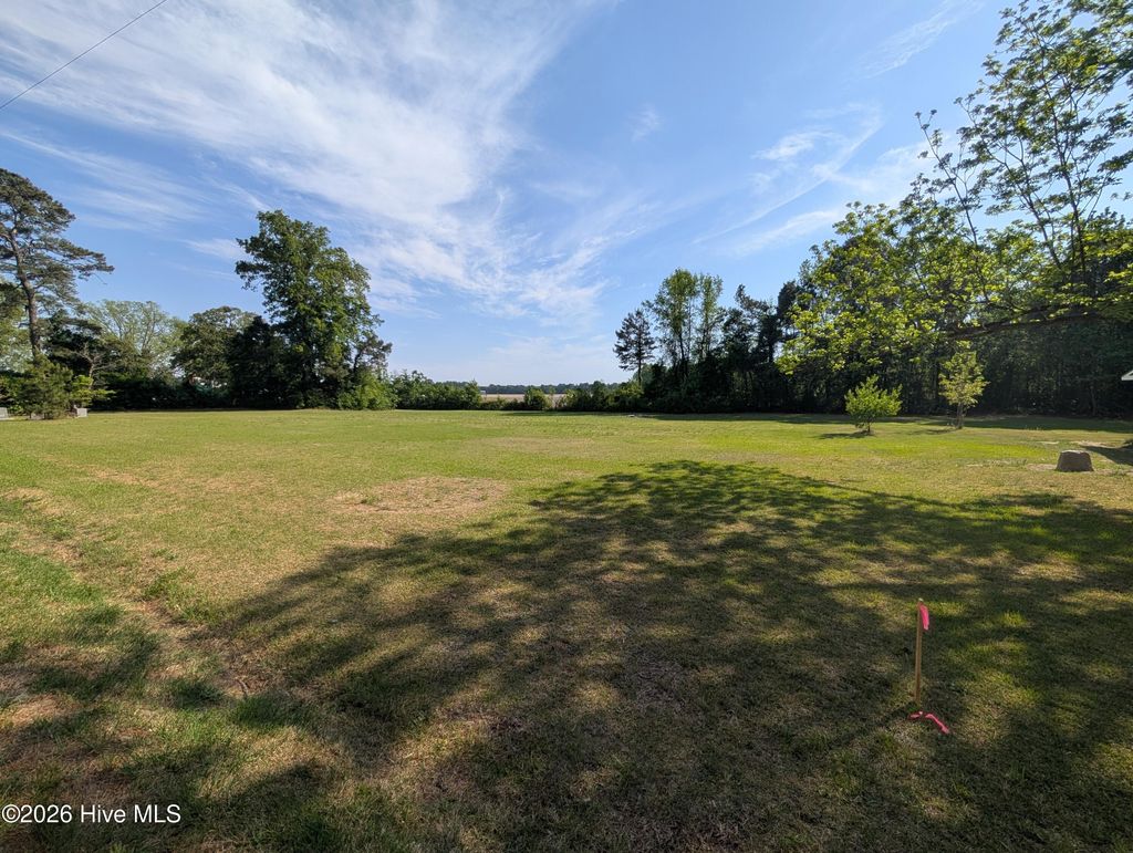 Photo of 00 Timothy Road, Newton Grove, NC 28334 (MLS # 100567816)