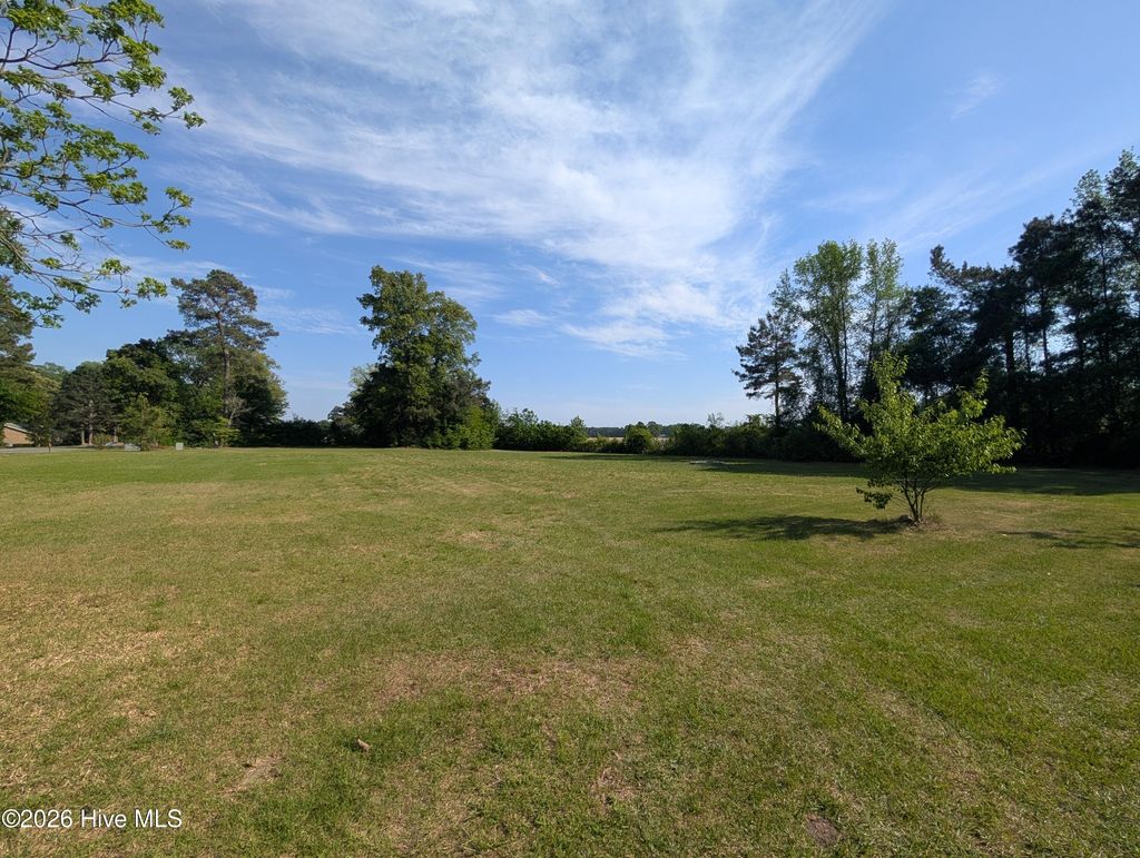 Photo of 00 Timothy Road, Newton Grove, NC 28334 (MLS # 100567816)
