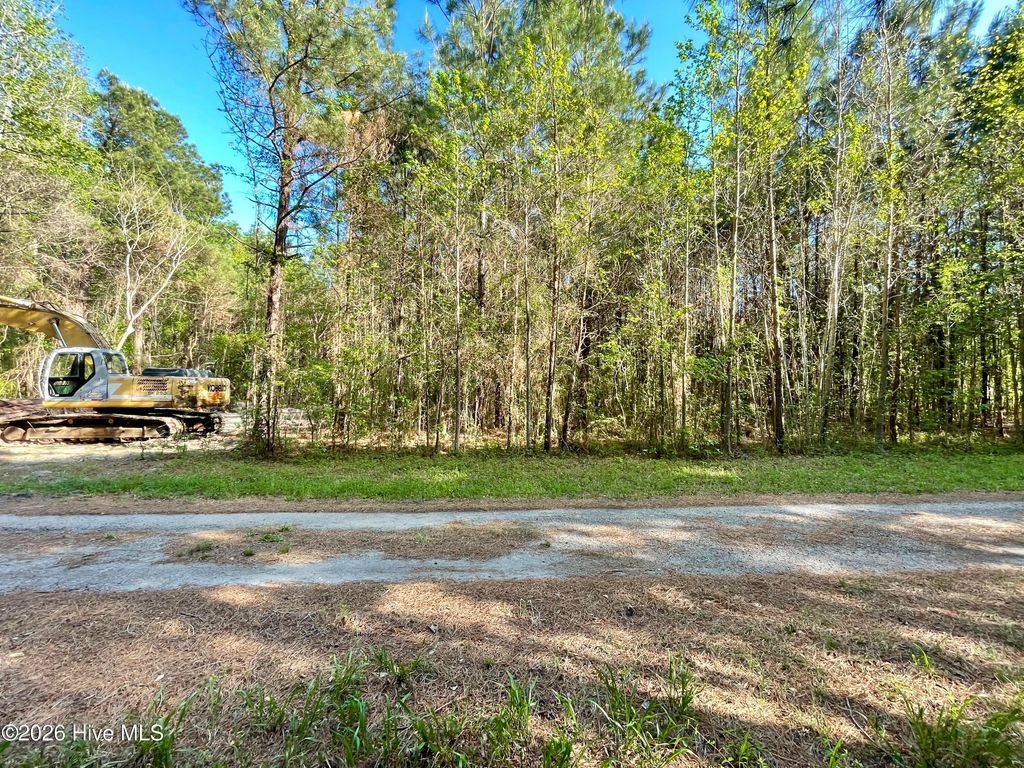 Photo of Tbd Beth Drive, Conway, SC 29527 (MLS # 100566112)