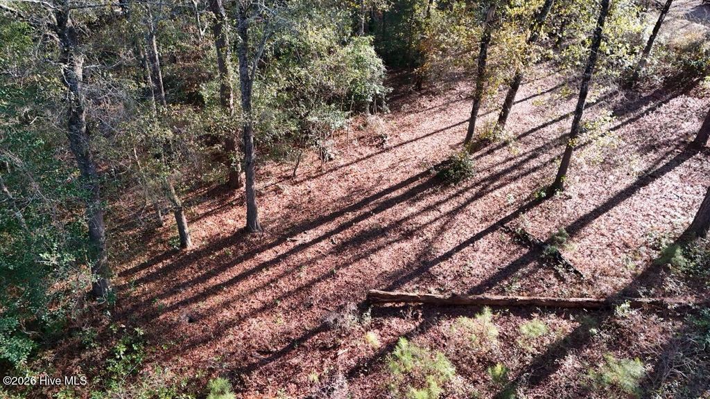 Photo of 4 Shaw Highway, Rocky Point, NC 28457 (MLS # 100568530)